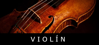 ins_violin